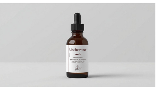 Motherwort Tincture - Leonurus cardiaca